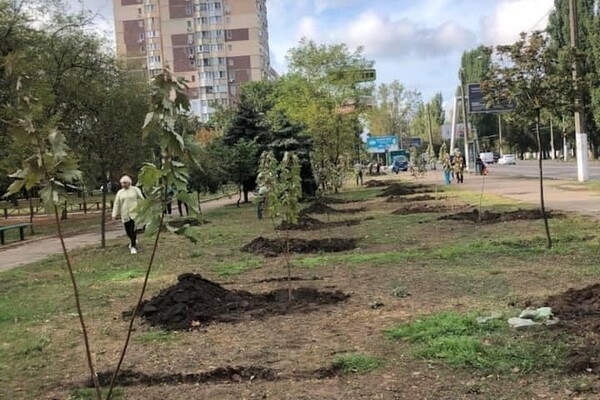 Эко-акция: в Одессе учителя высадили почти сотню деревьев  фото 5