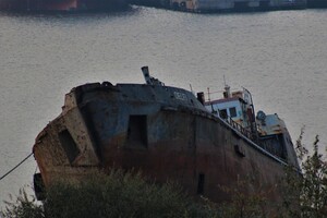 Жуткое зрелище: как сейчас выглядит танкер Delfi фото 2