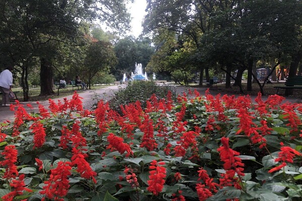 Место для прогулок: все, что вы не знали про парк Космонавтов в Одессе  фото 24