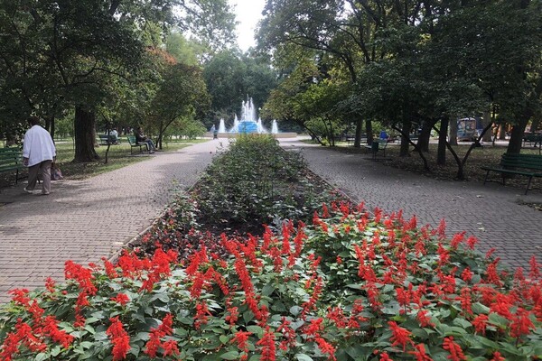 Место для прогулок: все, что вы не знали про парк Космонавтов в Одессе  фото 57