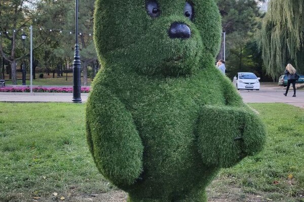 Ради красивых фото: в запорожских парках отдыхающие вытоптали газоны (фото) фото