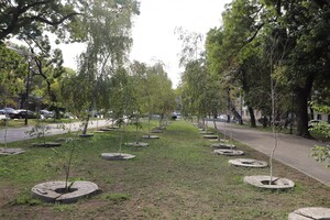 В Прохоровском сквере построят музей Холокоста: каким он будет фото 3