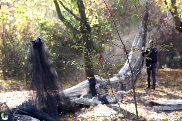 В Одессе пейнтбольный клуб захватил лесопарк: повреждены десятки деревьев фото 9