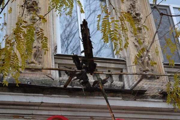 Очередное разрушение: в центре Одессы обвалился карниз старинного здания фото 3