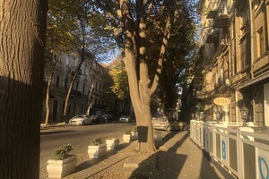 Главпочтамт и завидные особняки: интересная прогулка по улице Садовой в Одессе фото 67