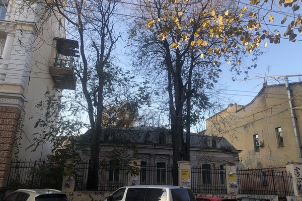 Главпочтамт и завидные особняки: интересная прогулка по улице Садовой в Одессе фото 87
