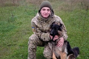 Пыталась загрызть: в Одесской области на собаку пограничников напала лиса фото