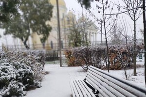 В последний день осени: на юге Одесской области выпал первый снег (обновлено) фото 1