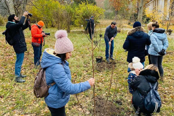 Доброе дело: в Одессе высадили две аллеи магнолий фото 2