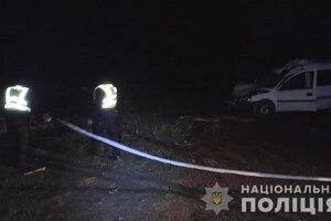 В Одесской области автомобиль столкнулся с лошадью: есть погибшие фото