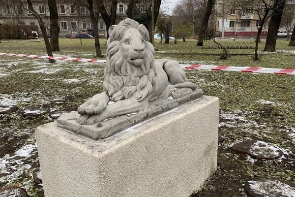 Новые львы, множество скамеек и планы: как меняется сквер Мечникова фото 21