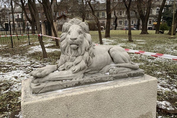 Новые львы, множество скамеек и планы: как меняется сквер Мечникова фото 31