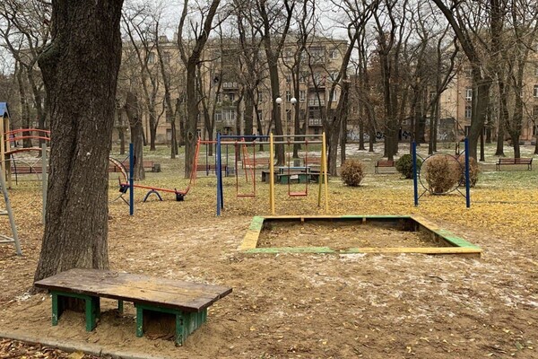 Новые львы, множество скамеек и планы: как меняется сквер Мечникова фото 36