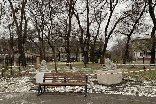 Новые львы, множество скамеек и планы: как меняется сквер Мечникова фото 45