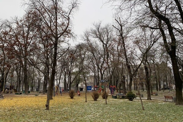 Новые львы, множество скамеек и планы: как меняется сквер Мечникова фото 55