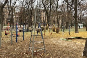 Новые львы, множество скамеек и планы: как меняется сквер Мечникова фото 66