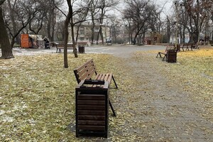 Новые львы, множество скамеек и планы: как меняется сквер Мечникова фото 68