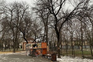 Новые львы, множество скамеек и планы: как меняется сквер Мечникова фото 74