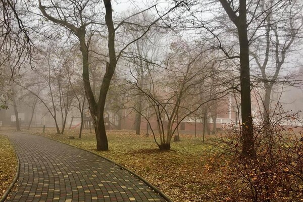 Полюбуйся: одесский парк окутал густой туман, а пляжи накрыло пеной фото 6