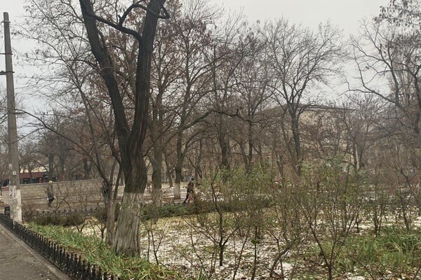 Прошлое и настоящее: все, что вы не знали про сквер Регенсбург в Одессе  фото 3