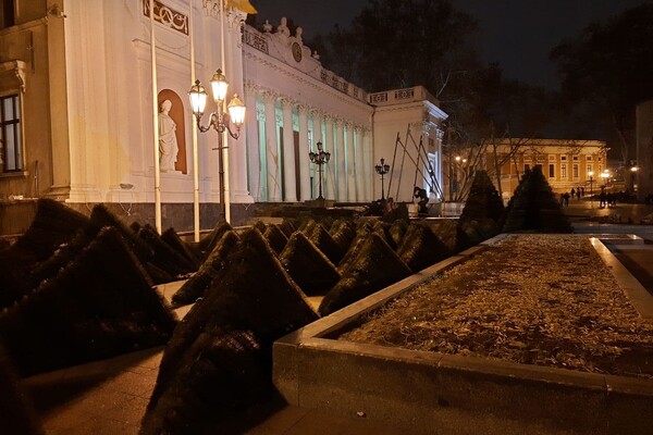Установка елок, карусель и праздничная подсветка: в Одессе начали подготовку к Новому году фото 4