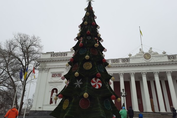 Красота: в Одессе установили главную елку города фото