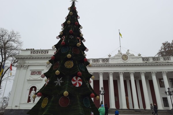 Красота: в Одессе установили главную елку города фото 1