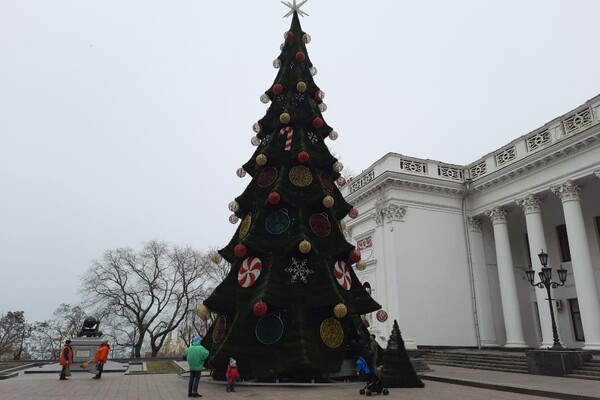 Красота: в Одессе установили главную елку города фото 2