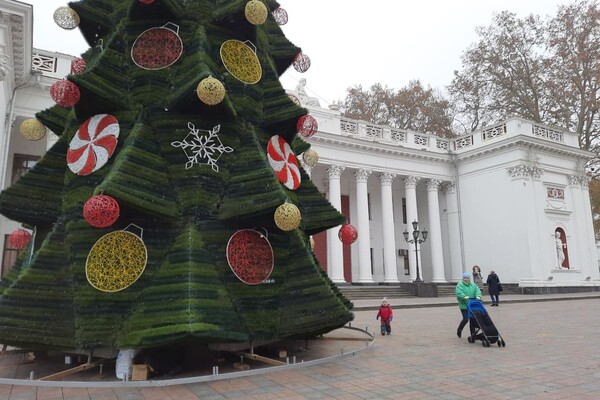Красота: в Одессе установили главную елку города фото 4
