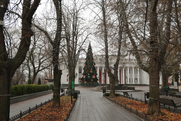Карусель возле Дюка и елки на фонарях: как Одесса готовится к Новому году  фото 16