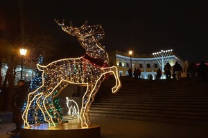 Карусель возле Дюка и елки на фонарях: как Одесса готовится к Новому году  фото 25