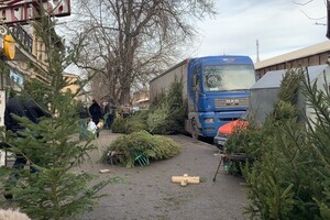 За день до Нового года: почем елки и украшения на Новом рынке фото