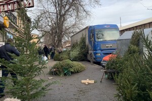 За день до Нового года: почем елки и украшения на Новом рынке фото 1