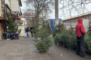 За день до Нового года: почем елки и украшения на Новом рынке фото 2