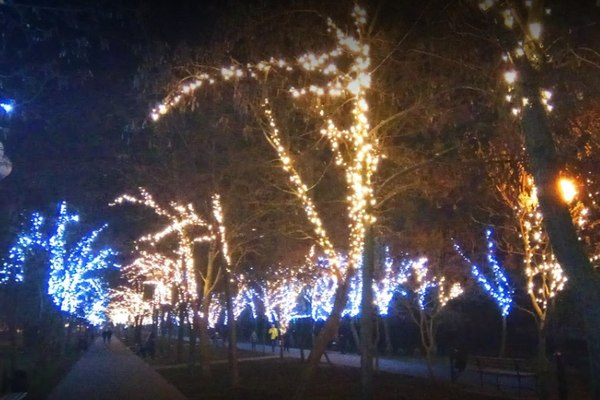Грустный праздник: на поселке Котовского гирлянды вросли в деревья фото 2