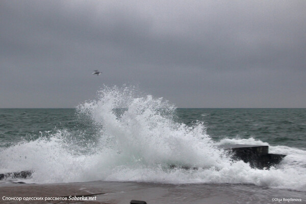 Терапия морем: смотрите, как штормит на одесских пляжах  фото