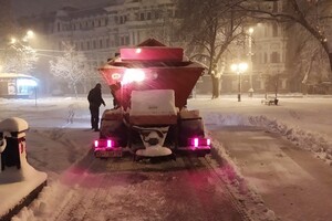 Снежный денек: в Одессе наступила настоящая зима фото 4