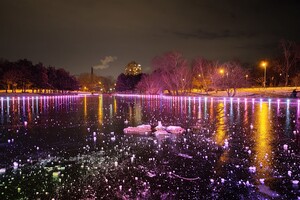 Красота рядом: смотри, как выглядит ночной парк Победы зимой фото