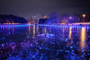 Красота рядом: смотри, как выглядит ночной парк Победы зимой фото 1
