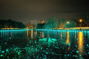 Красота рядом: смотри, как выглядит ночной парк Победы зимой фото 3