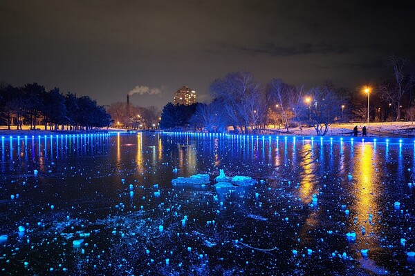 Красота рядом: смотри, как выглядит ночной парк Победы зимой фото 4