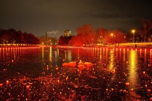 Красота рядом: смотри, как выглядит ночной парк Победы зимой фото 5