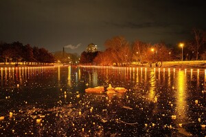 Красота рядом: смотри, как выглядит ночной парк Победы зимой фото 6