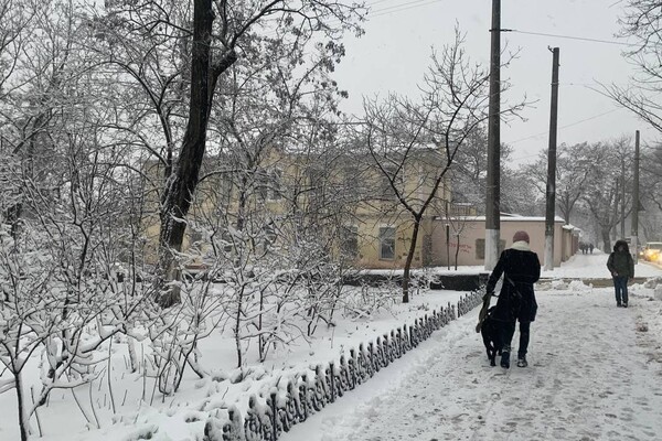 В Одессе начался сильный снегопад: хроника событий (обновляется) фото 12