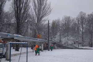 В Одессе упали более 50-ти деревьев: есть пострадавший (обновлено) фото 5