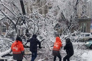 В Одессе упали более 50-ти деревьев: есть пострадавший (обновлено) фото 6