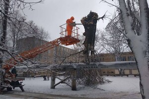 В Одессе упали более 50-ти деревьев: есть пострадавший (обновлено) фото 7