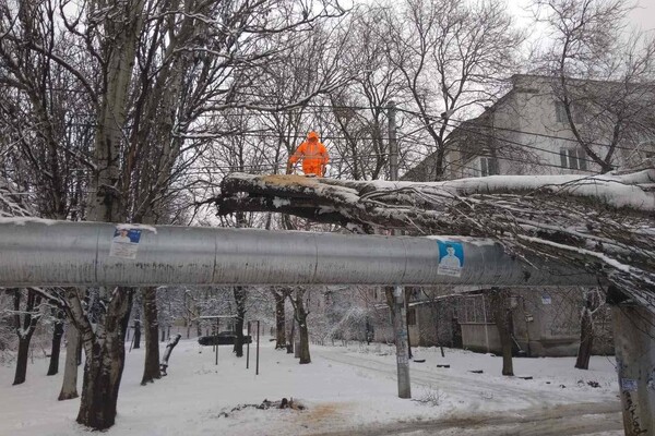 В Одессе упали более 50-ти деревьев: есть пострадавший (обновлено) фото 11