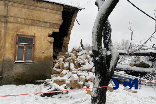 Последствия стихии: в Одессе упавшее дерево разрушило часть дома (обновлено) фото 1