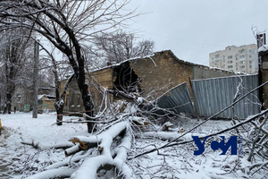 Последствия стихии: в Одессе упавшее дерево разрушило часть дома (обновлено) фото 2